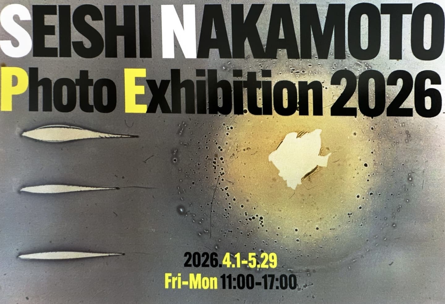 企画展・イベント情報