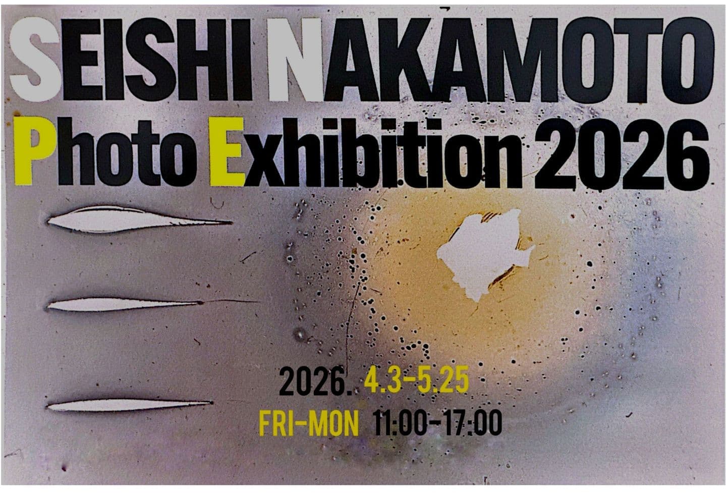 企画展・イベント情報